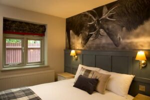 best-pub-restaurant-lunch-dinner-newbury-berkshire-highclere-christmas-castle-meeting-party-hire-private-family-drinks-hotel-bedrooms-stay-overnight-food-amazing-sunday-events-exclusive-bar-youngs